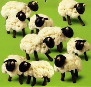 Moutons de chou fleur