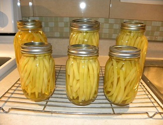 Recettes 6 Continents – Fèves en pots ( Conserve )